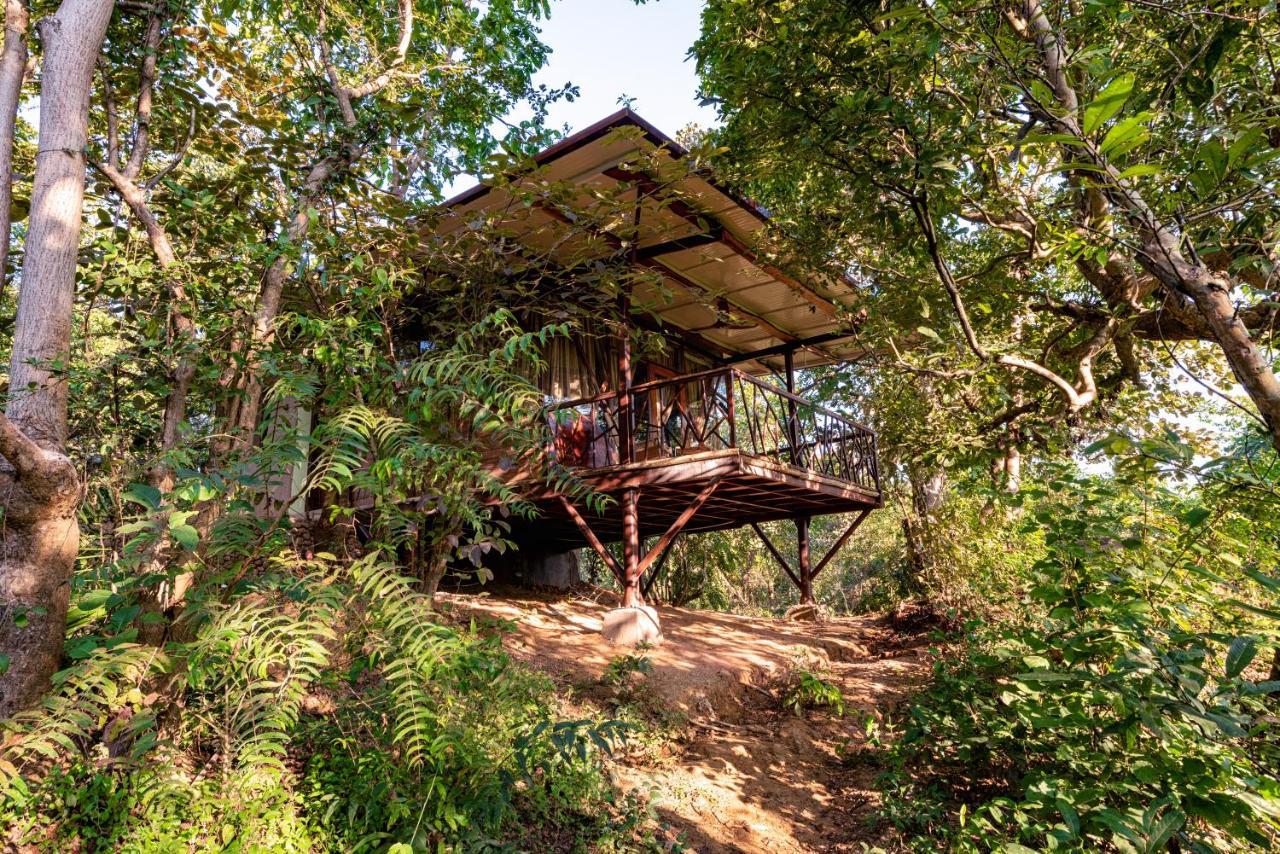 Kanha Jungle Camp Экстерьер фото