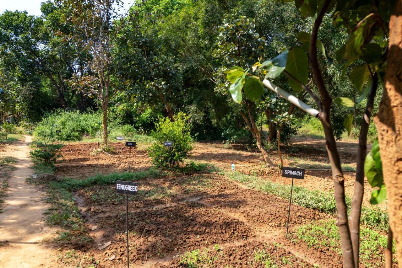 Kanha Jungle Camp Экстерьер фото