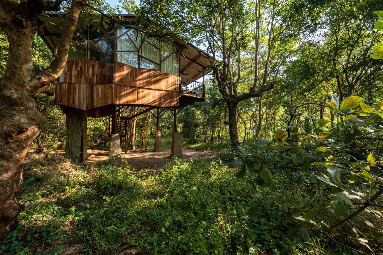 Kanha Jungle Camp Экстерьер фото