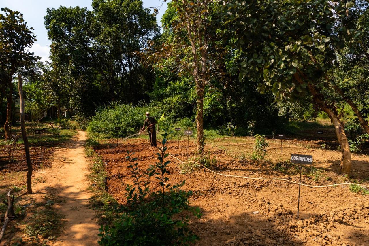 Kanha Jungle Camp Экстерьер фото
